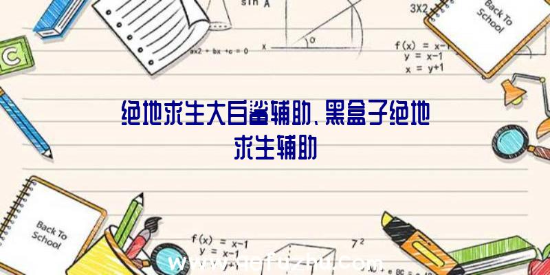 绝地求生大白鲨辅助、黑盒子绝地求生辅助