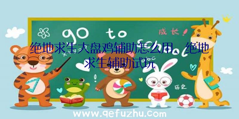 绝地求生大盘鸡辅助怎么用、绝地求生辅助试玩