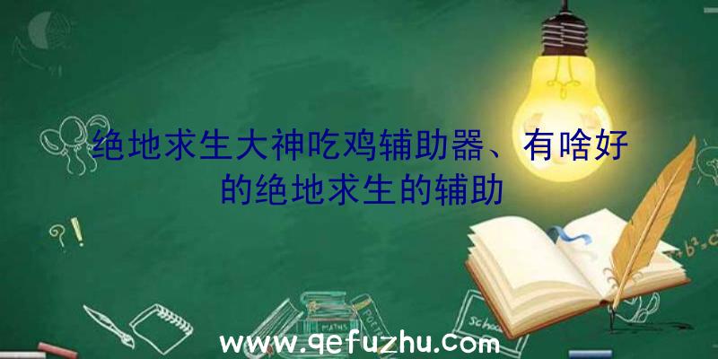 绝地求生大神吃鸡辅助器、有啥好的绝地求生的辅助