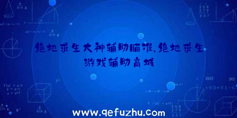 绝地求生大神辅助瞄准、绝地求生游戏辅助商城