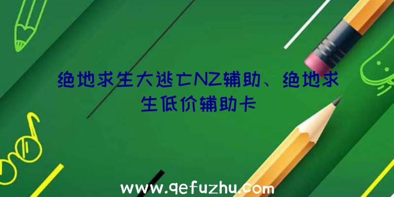 绝地求生大逃亡NZ辅助、绝地求生低价辅助卡