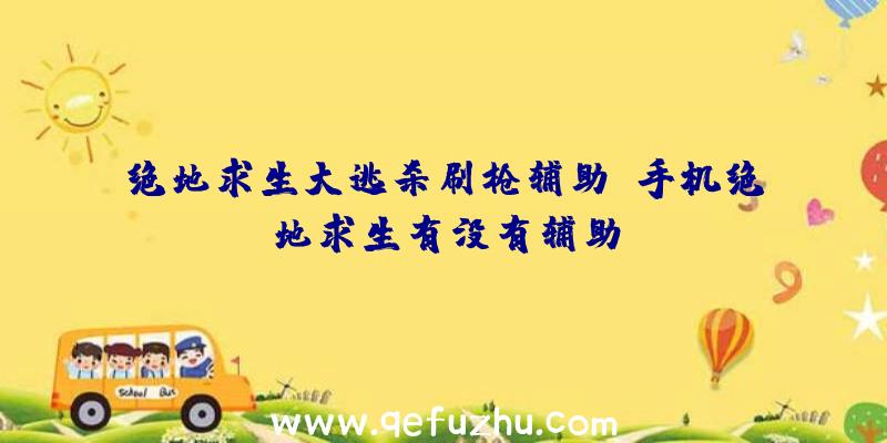 绝地求生大逃杀刷枪辅助、手机绝地求生有没有辅助