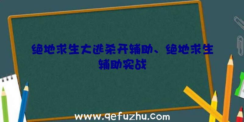 绝地求生大逃杀开辅助、绝地求生辅助实战