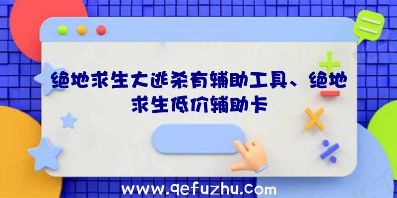 绝地求生大逃杀有辅助工具、绝地求生低价辅助卡