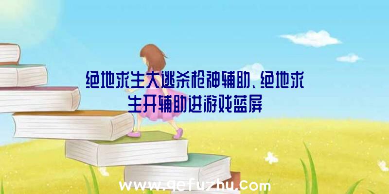 绝地求生大逃杀枪神辅助、绝地求生开辅助进游戏蓝屏