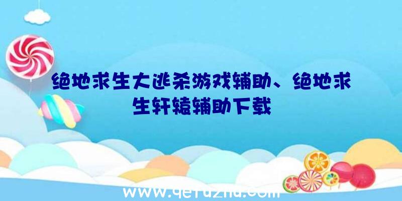 绝地求生大逃杀游戏辅助、绝地求生轩辕辅助下载