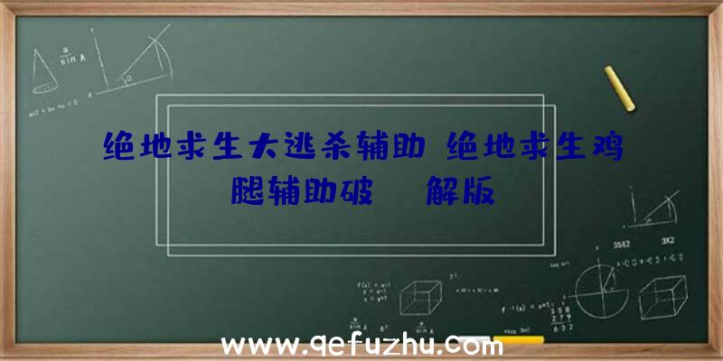 绝地求生大逃杀辅助、绝地求生鸡腿辅助破解版