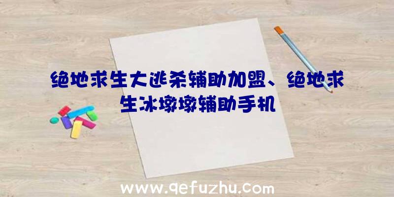 绝地求生大逃杀辅助加盟、绝地求生冰墩墩辅助手机