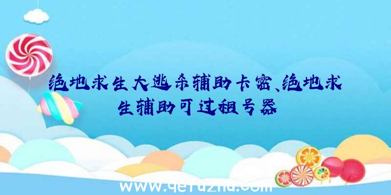 绝地求生大逃杀辅助卡密、绝地求生辅助可过租号器