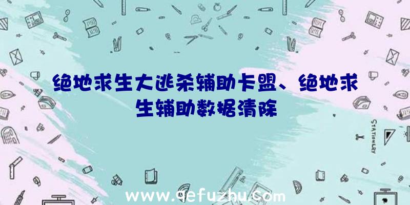 绝地求生大逃杀辅助卡盟、绝地求生辅助数据清除