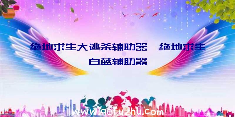 绝地求生大逃杀辅助器、绝地求生白蓝辅助器