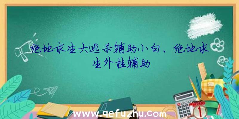 绝地求生大逃杀辅助小白、绝地求生外挂辅助