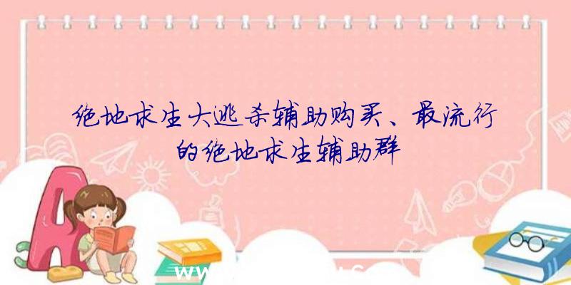 绝地求生大逃杀辅助购买、最流行的绝地求生辅助群