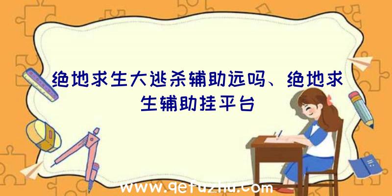 绝地求生大逃杀辅助远吗、绝地求生辅助挂平台