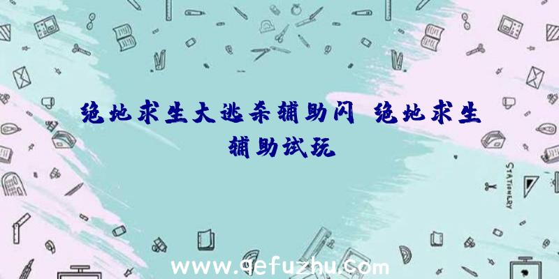 绝地求生大逃杀辅助闪、绝地求生辅助试玩