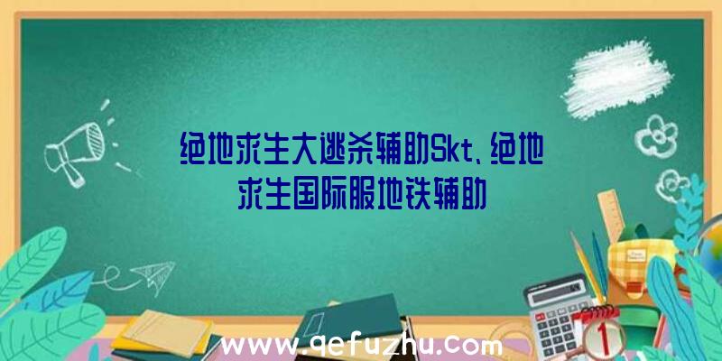 绝地求生大逃杀辅助Skt、绝地求生国际服地铁辅助