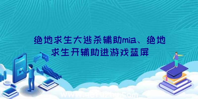 绝地求生大逃杀辅助mia、绝地求生开辅助进游戏蓝屏