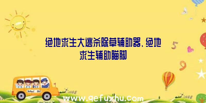 绝地求生大逃杀除草辅助器、绝地求生辅助瞄脚