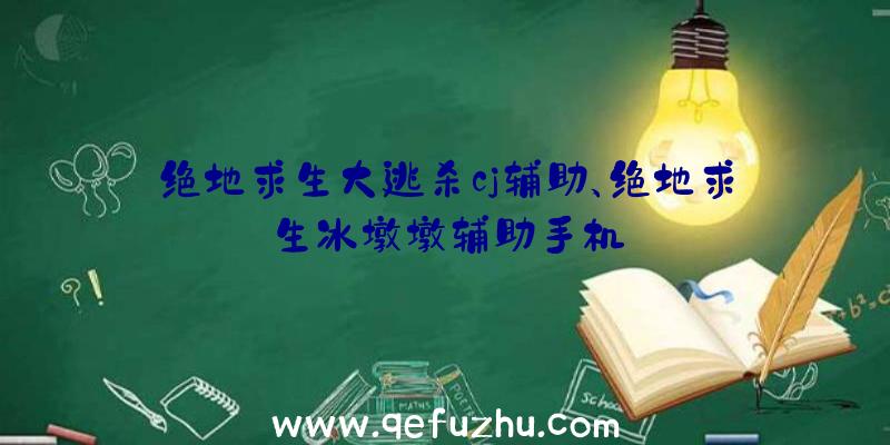 绝地求生大逃杀cj辅助、绝地求生冰墩墩辅助手机