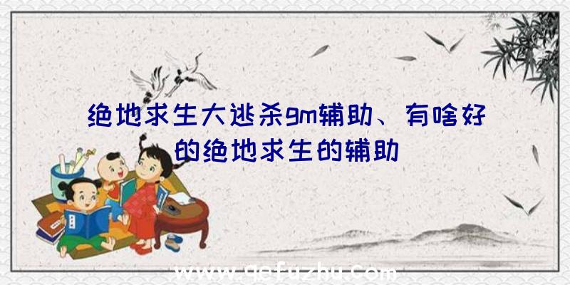 绝地求生大逃杀gm辅助、有啥好的绝地求生的辅助