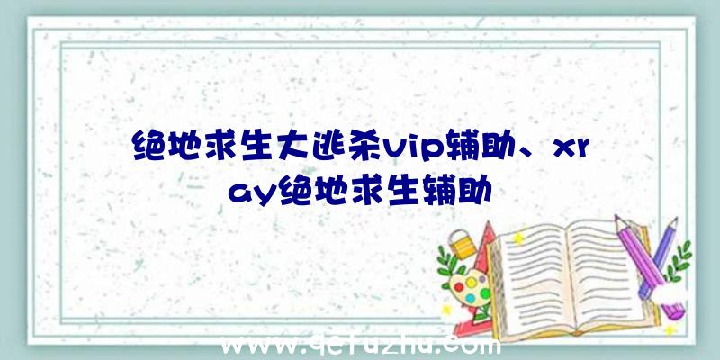 绝地求生大逃杀vip辅助、xray绝地求生辅助