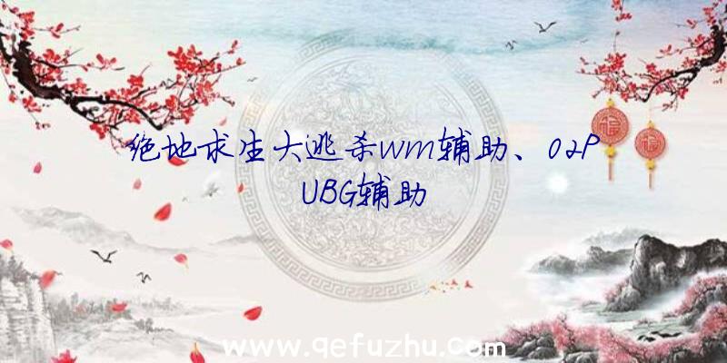 绝地求生大逃杀wm辅助、02PUBG辅助