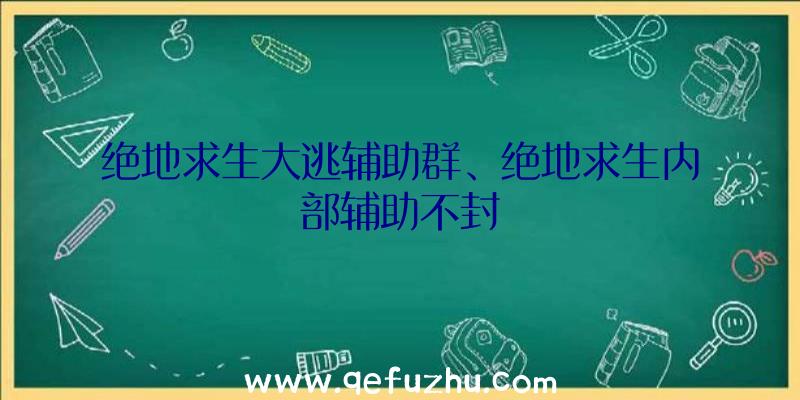 绝地求生大逃辅助群、绝地求生内部辅助不封