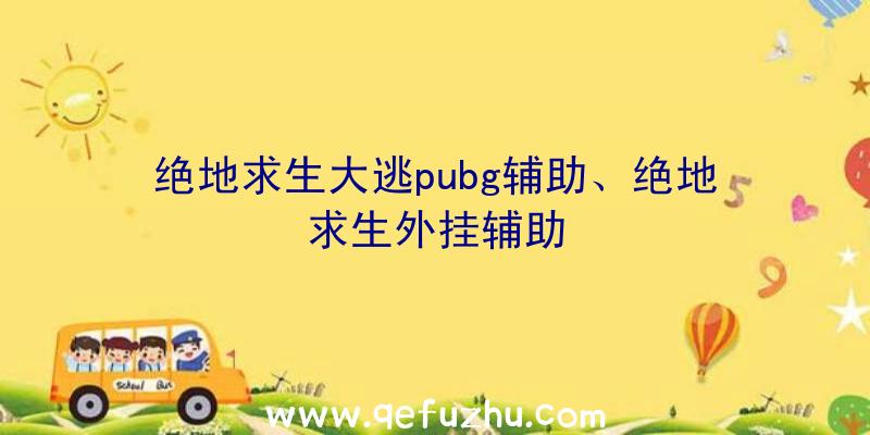 绝地求生大逃pubg辅助、绝地求生外挂辅助