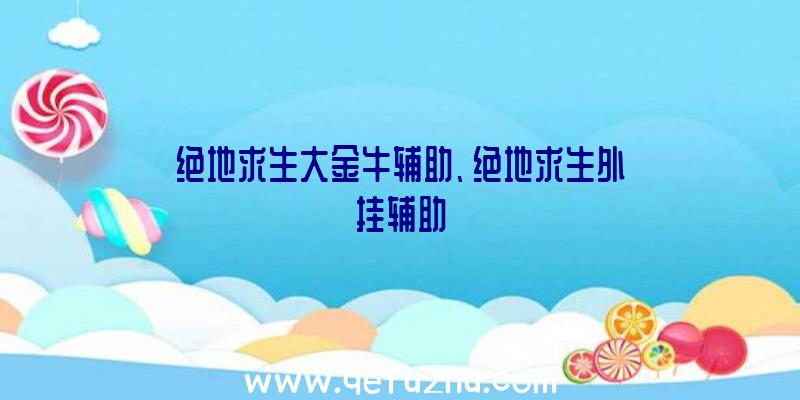 绝地求生大金牛辅助、绝地求生外挂辅助