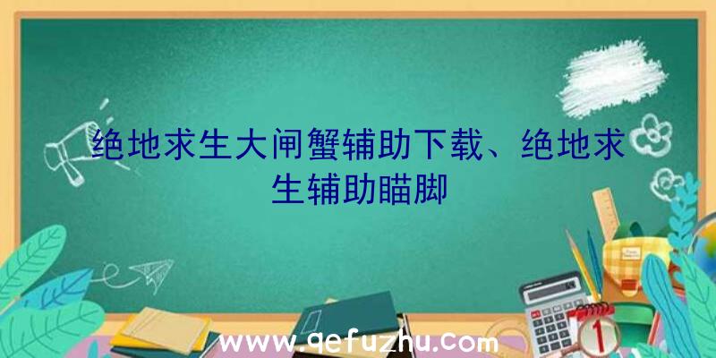 绝地求生大闸蟹辅助下载、绝地求生辅助瞄脚