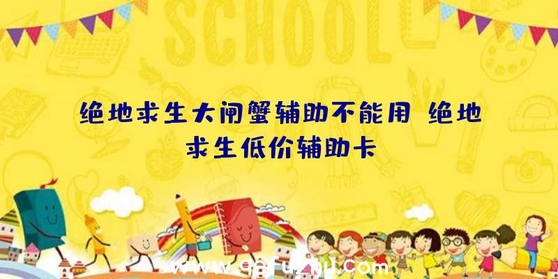 绝地求生大闸蟹辅助不能用、绝地求生低价辅助卡