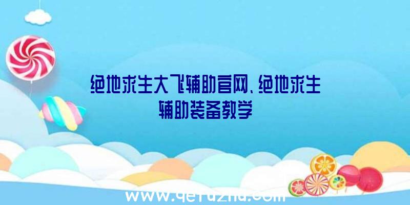 绝地求生大飞辅助官网、绝地求生辅助装备教学