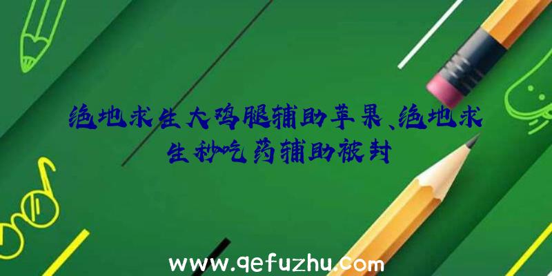 绝地求生大鸡腿辅助苹果、绝地求生秒吃药辅助被封