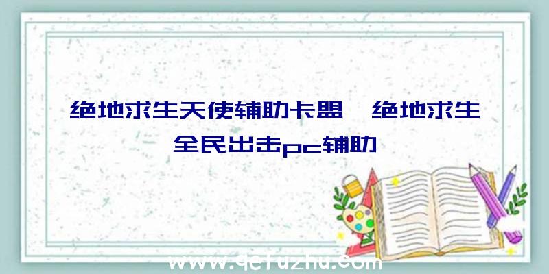 绝地求生天使辅助卡盟、绝地求生全民出击pc辅助