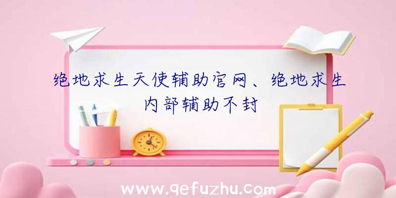 绝地求生天使辅助官网、绝地求生内部辅助不封