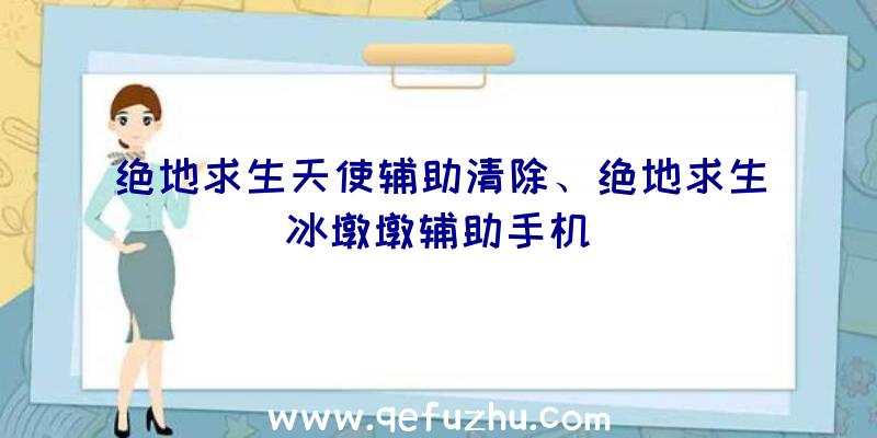 绝地求生天使辅助清除、绝地求生冰墩墩辅助手机