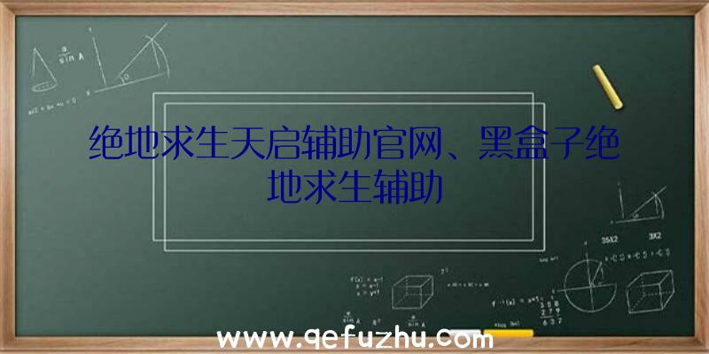 绝地求生天启辅助官网、黑盒子绝地求生辅助