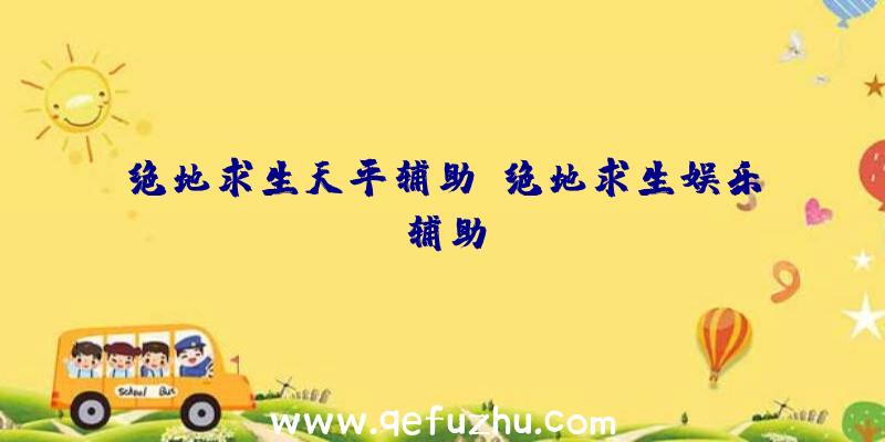 绝地求生天平辅助、绝地求生娱乐辅助