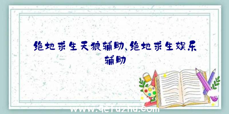 绝地求生天狼辅助、绝地求生娱乐辅助