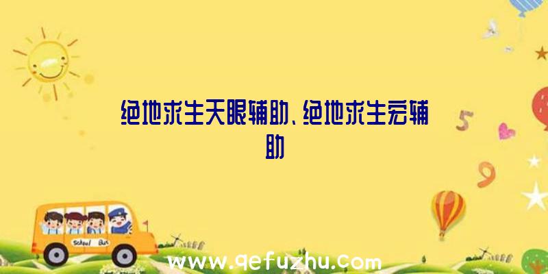 绝地求生天眼辅助、绝地求生宏辅助