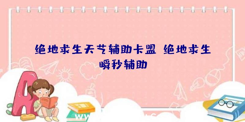 绝地求生天艺辅助卡盟、绝地求生瞬秒辅助