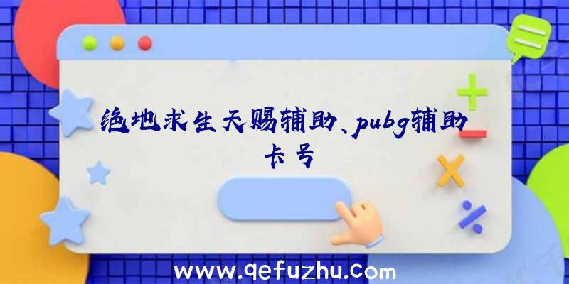 绝地求生天赐辅助、pubg辅助卡号