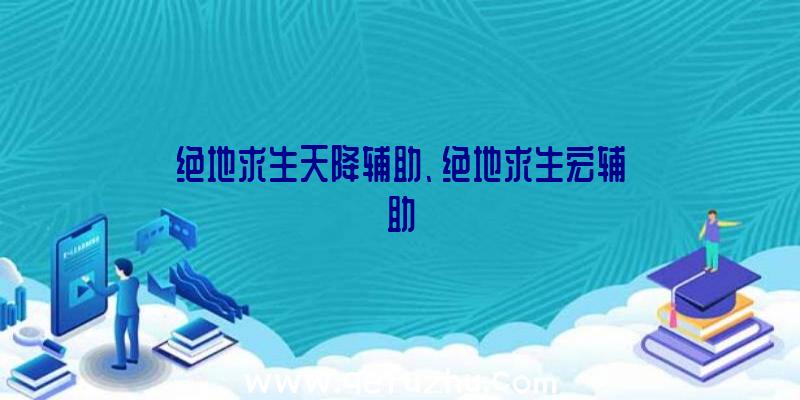 绝地求生天降辅助、绝地求生宏辅助