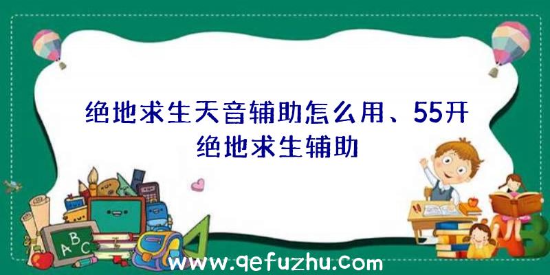 绝地求生天音辅助怎么用、55开绝地求生辅助