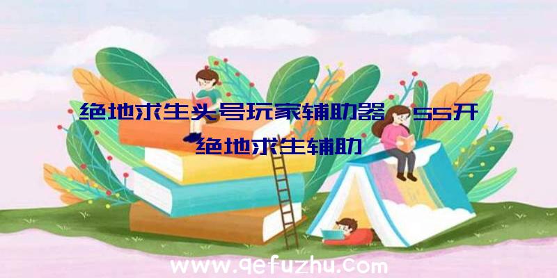 绝地求生头号玩家辅助器、55开绝地求生辅助