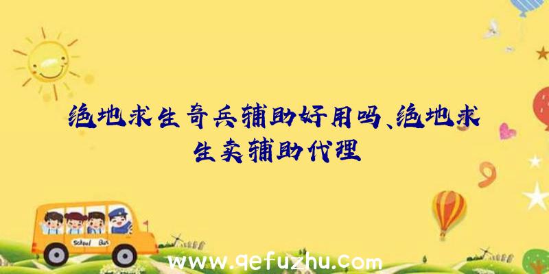 绝地求生奇兵辅助好用吗、绝地求生卖辅助代理