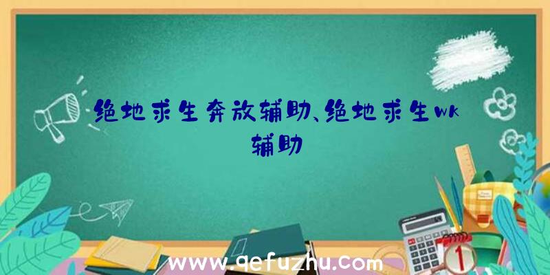 绝地求生奔放辅助、绝地求生wk辅助