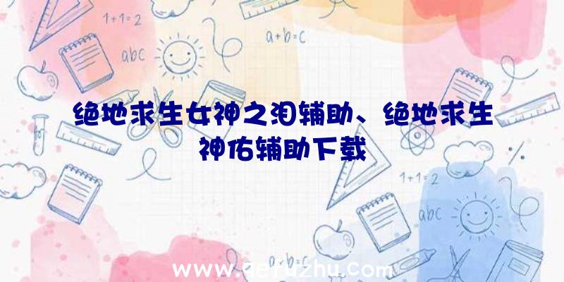 绝地求生女神之泪辅助、绝地求生神佑辅助下载