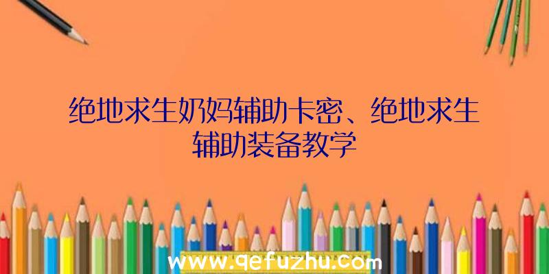 绝地求生奶妈辅助卡密、绝地求生辅助装备教学