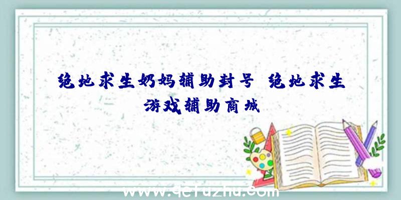 绝地求生奶妈辅助封号、绝地求生游戏辅助商城